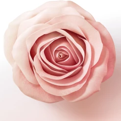 Pantene Pro-V Miracles Lift & Volume Haarverdickende Pflegespülung -Compeed Geschäft MAM 10416594 SHOP IMAGE 1.4