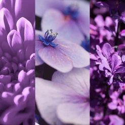 8x4 Deodorant Spray N°4 Vibrant Flower 7 8x4 Deodorant Spray N°4 Vibrant Flower -Compeed Geschäft MAM 7311465 SHOP IMAGE 1.4