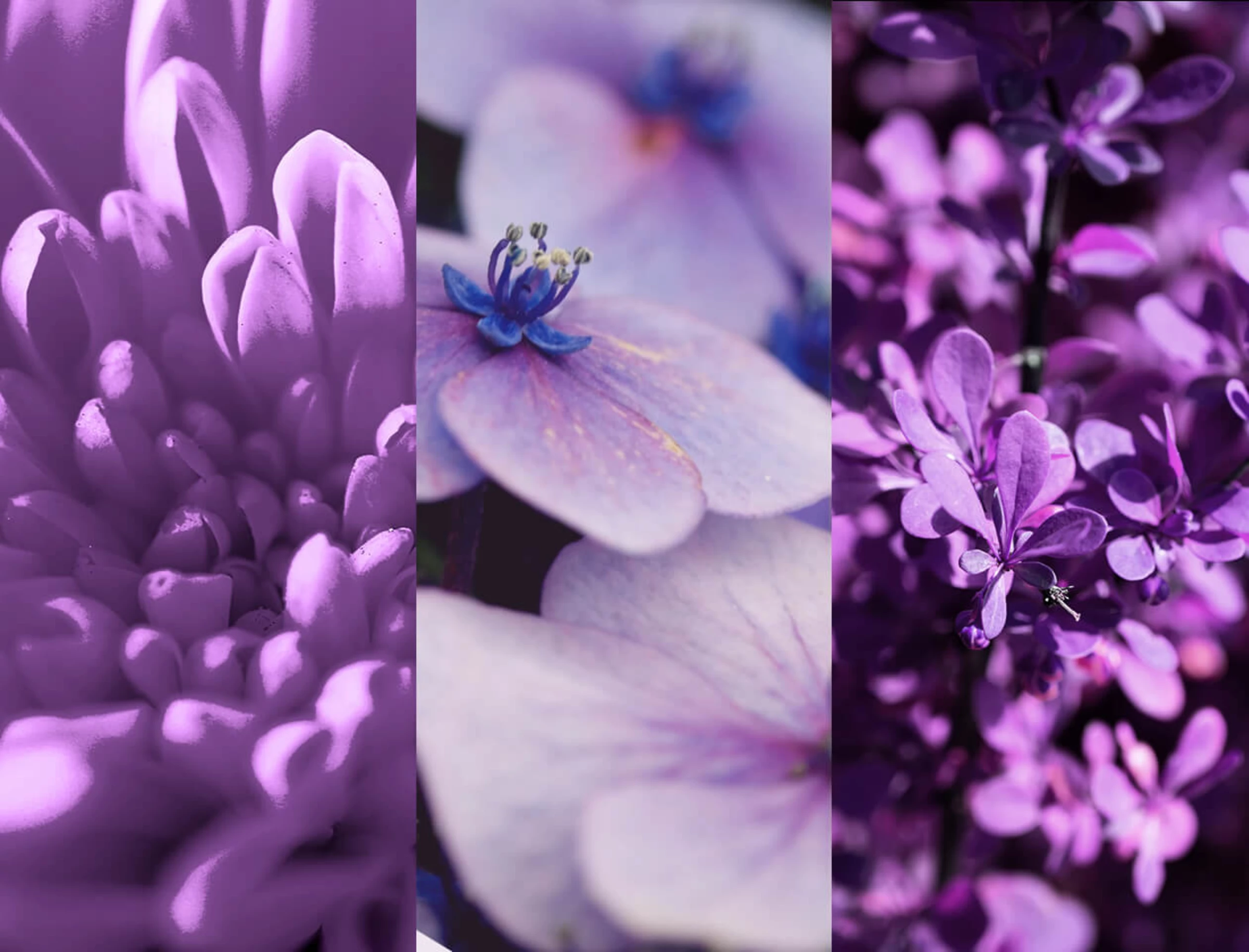 8x4 Deodorant Spray N°4 Vibrant Flower 3 8x4 Deodorant Spray N°4 Vibrant Flower – Bild 3