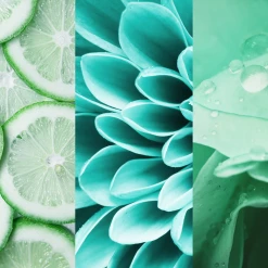 8x4 Deodorant Spray N°7 Fresh Lime 7 8x4 Deodorant Spray N°7 Fresh Lime -Compeed Geschäft MAM 7311477 SHOP IMAGE 1.4