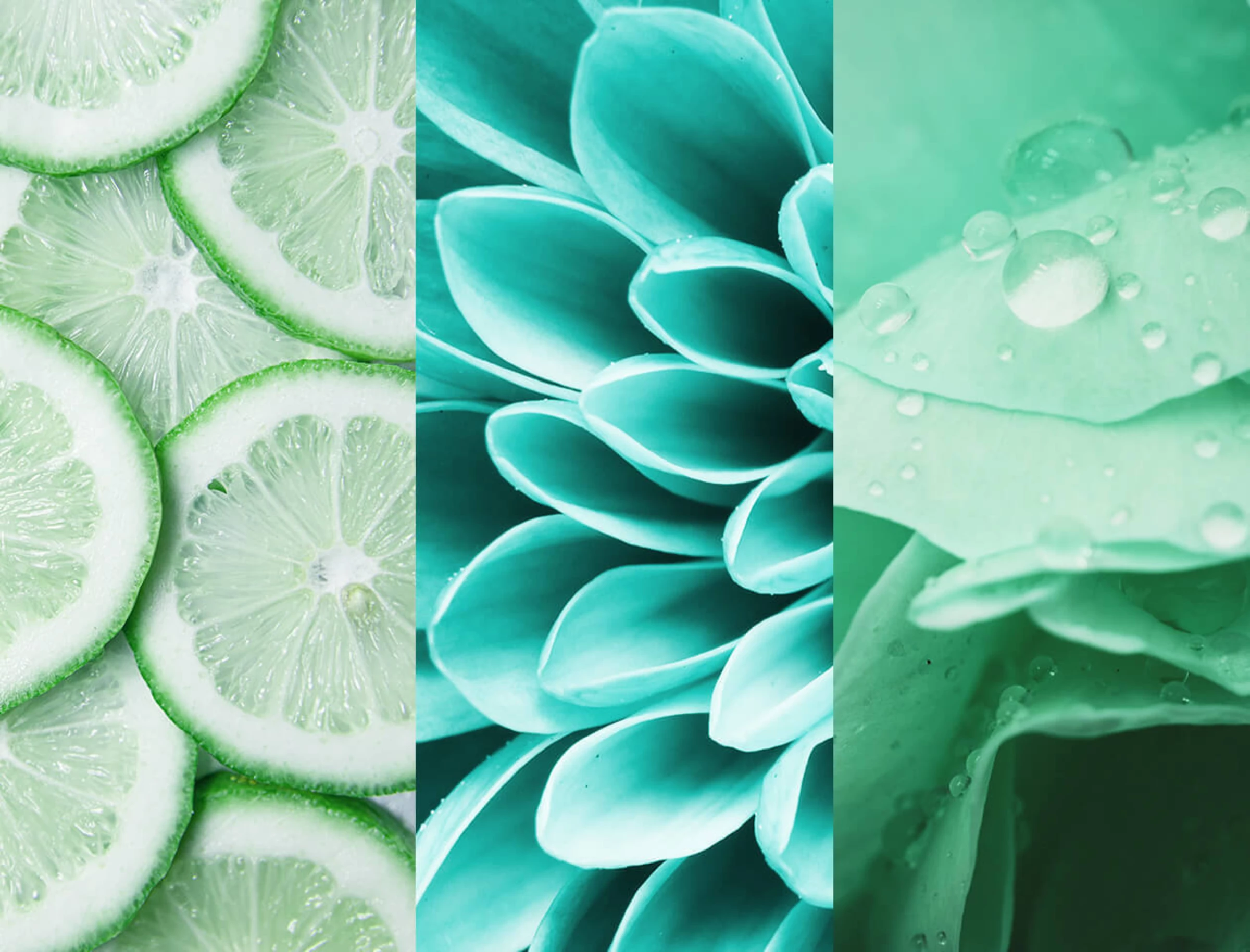 8x4 Deodorant Spray N°7 Fresh Lime 3 8x4 Deodorant Spray N°7 Fresh Lime – Bild 3