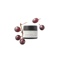 Spilanthox Therapy Extreme Night Repair -Compeed Geschäft MAM 7895795 SHOP IMAGE 1.4