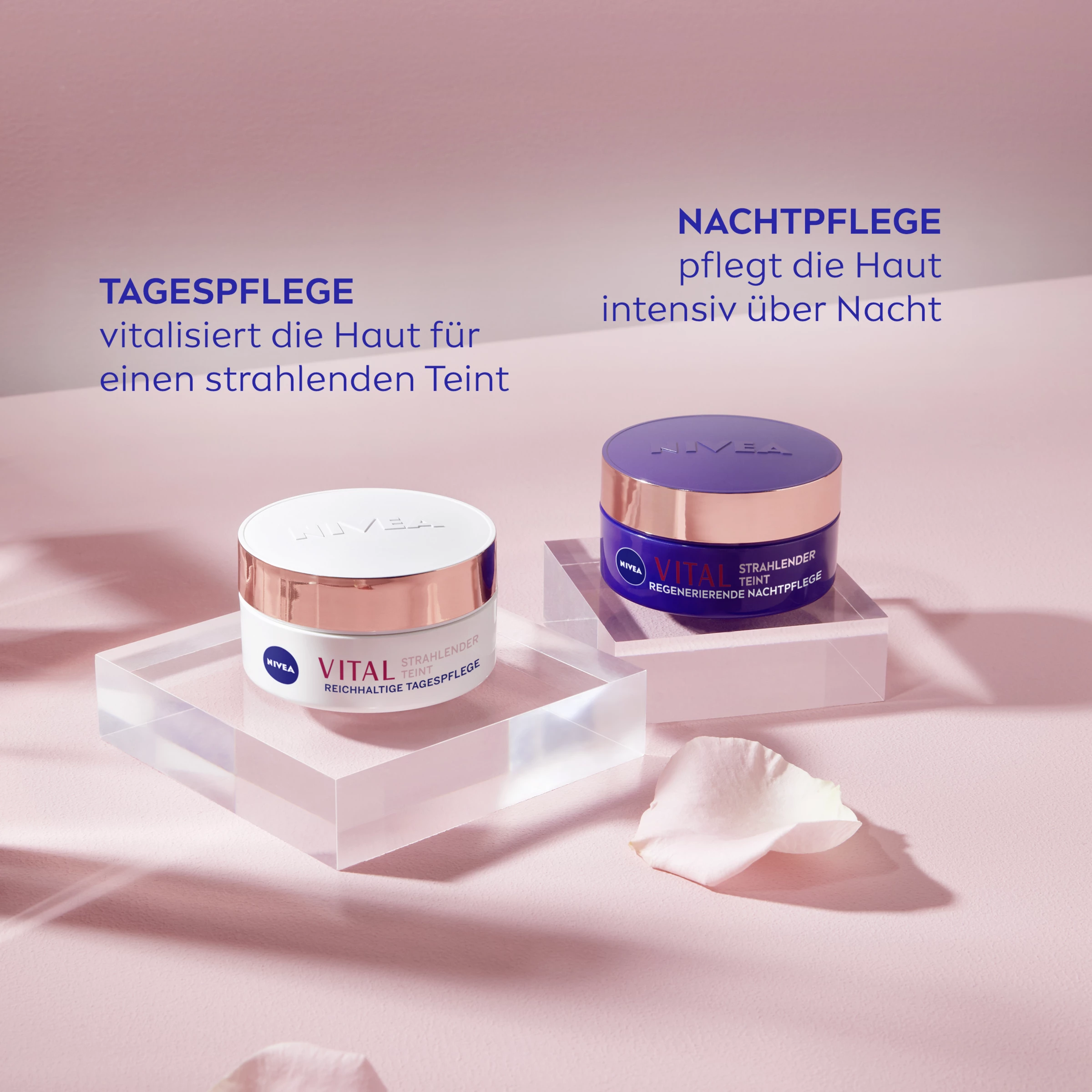 NIVEA Vital Strahlender Teint Regenerierende Nachtpflege 5 NIVEA Vital Strahlender Teint Regenerierende Nachtpflege – Bild 5