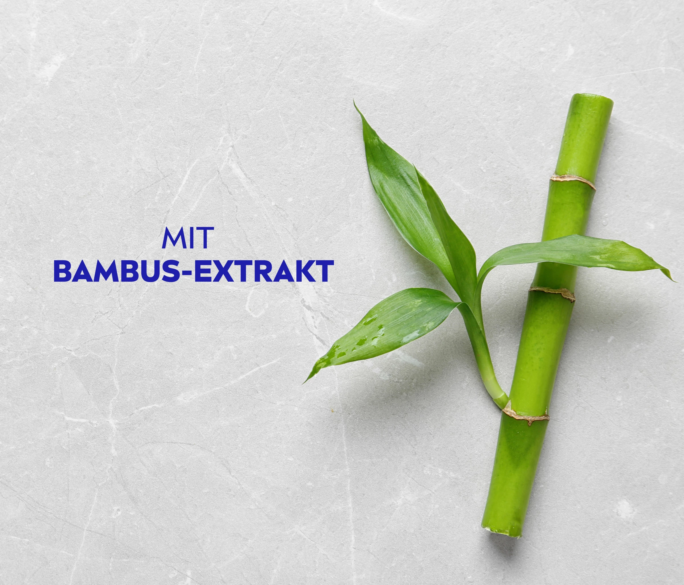 NIVEA Volumen & Kraft PH-Balance Shampoo 6 NIVEA Volumen & Kraft PH-Balance Shampoo – Bild 6