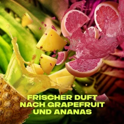 Axe Deo & Body Spray Epic Fresh 6 Axe Deo & Body Spray Epic Fresh -Compeed Geschäft MAM 8383911 SHOP IMAGE 1.4