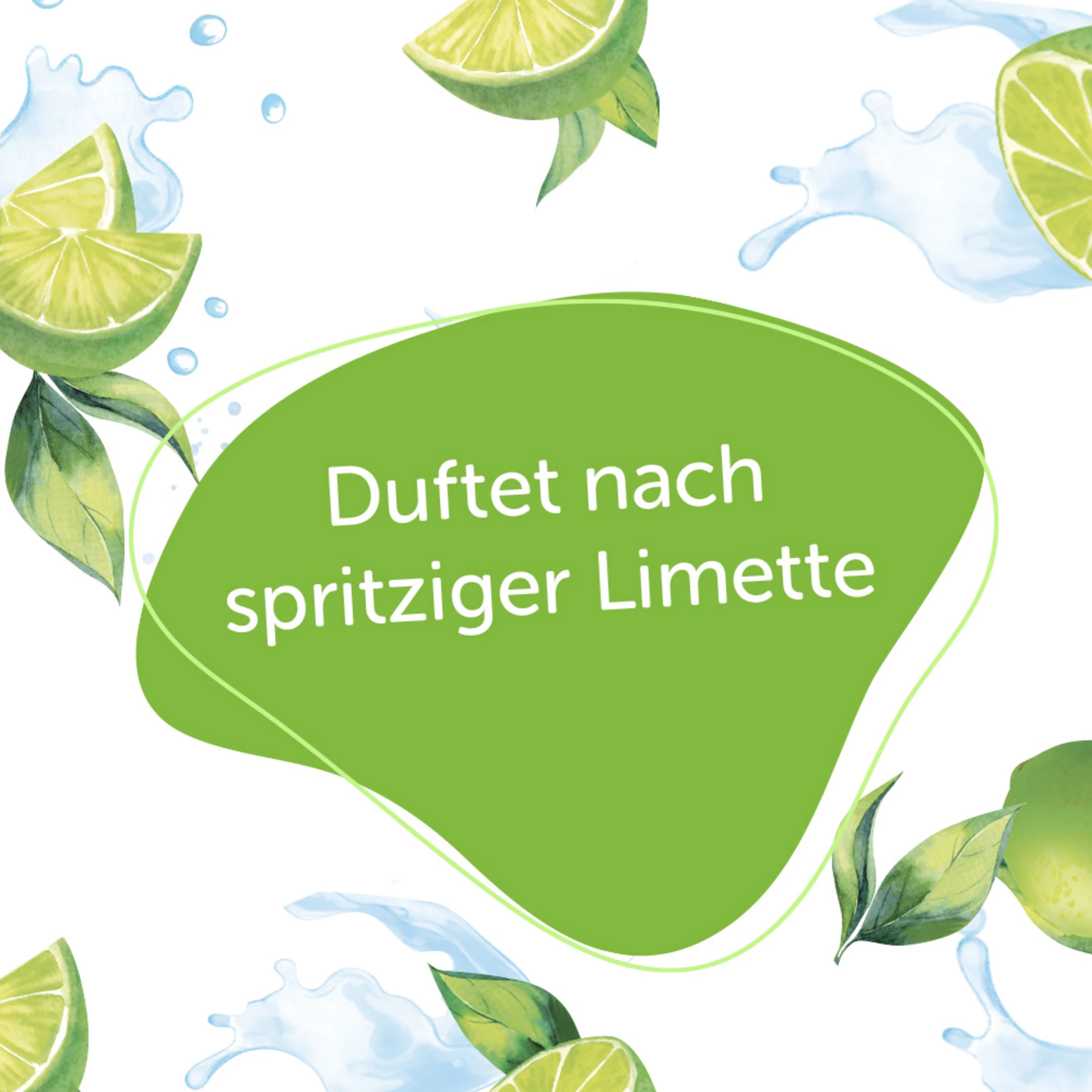 Alterra NATURKOSMETIK Pflegedusche Bio-Limette 2 Alterra NATURKOSMETIK Pflegedusche Bio-Limette – Bild 2