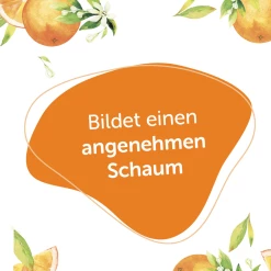 Alterra NATURKOSMETIK Festes Shampoo Bio-Orange & Bio-Vanille -Compeed Geschäft MAM 8397361 SHOP IMAGE 1.4