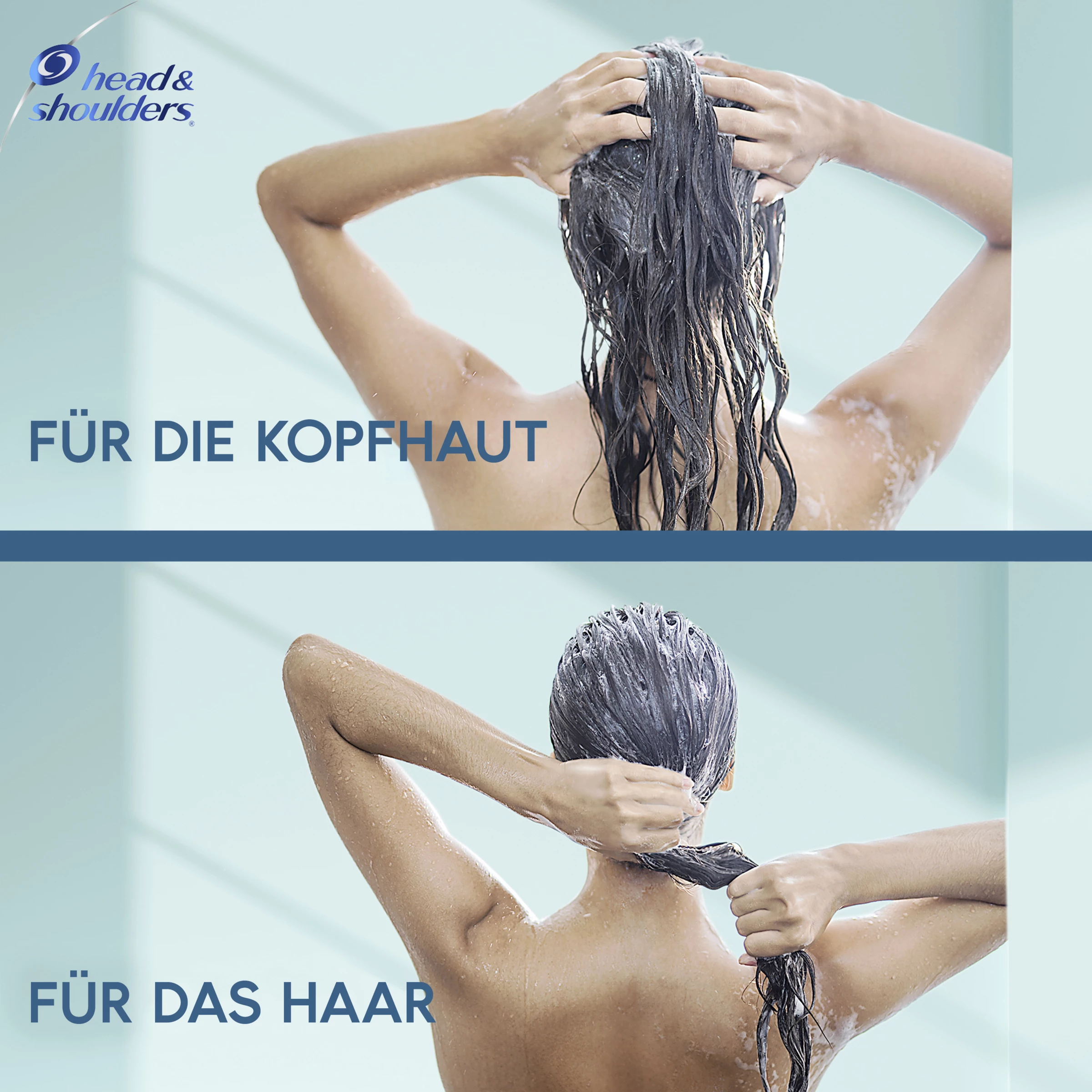 Head & Shoulders DERMAXPRO Repair Haar- & Kopfhautpflegespülung 7 Head & Shoulders DERMAXPRO Repair Haar- & Kopfhautpflegespülung – Bild 7