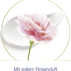 DOVE Deo Spray Rosenduft 11 DOVE Deo Spray Rosenduft -Compeed Geschäft MAM 8544757 SHOP IMAGE 1.4