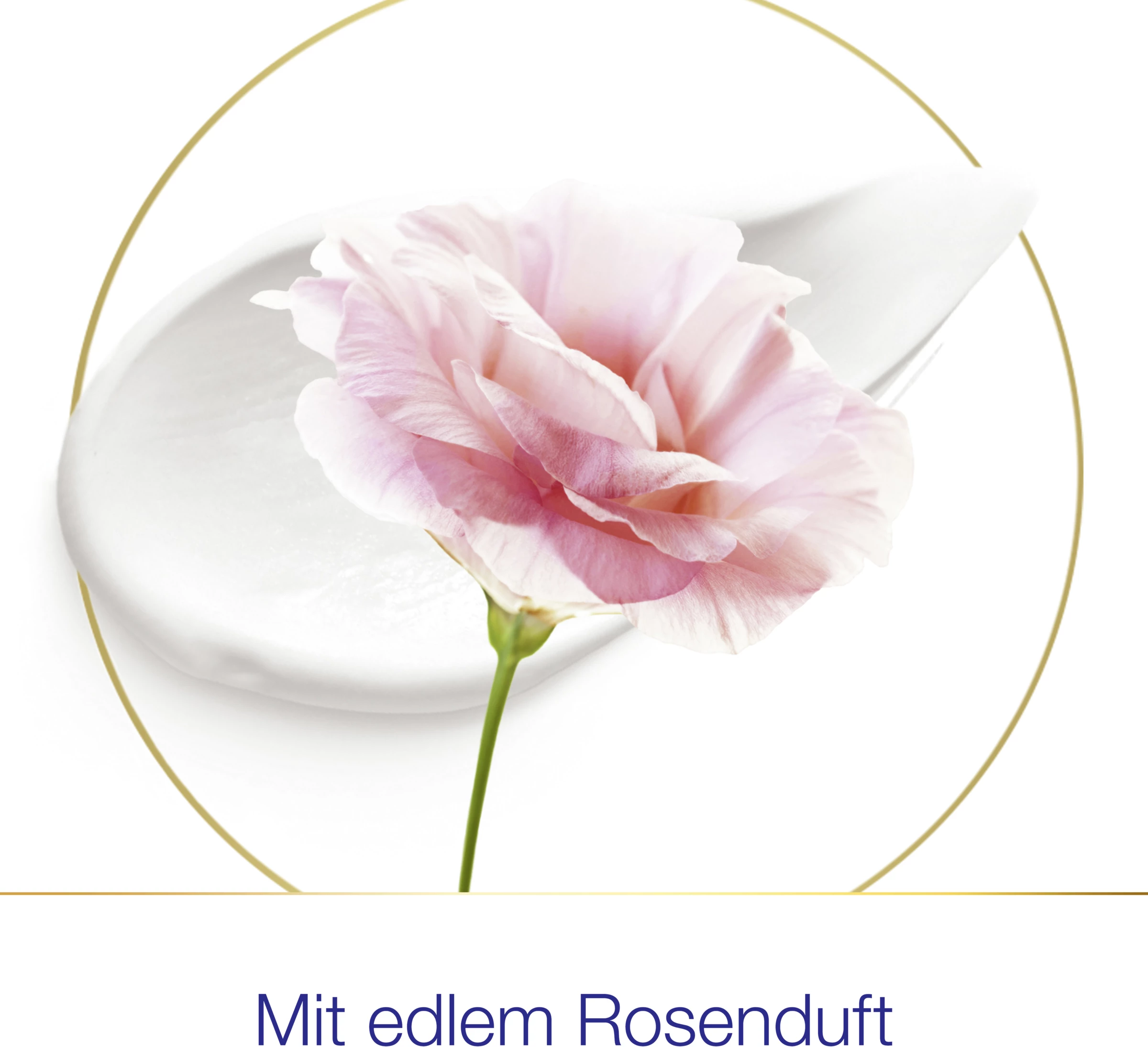 DOVE Deo Spray Rosenduft 3 DOVE Deo Spray Rosenduft – Bild 3