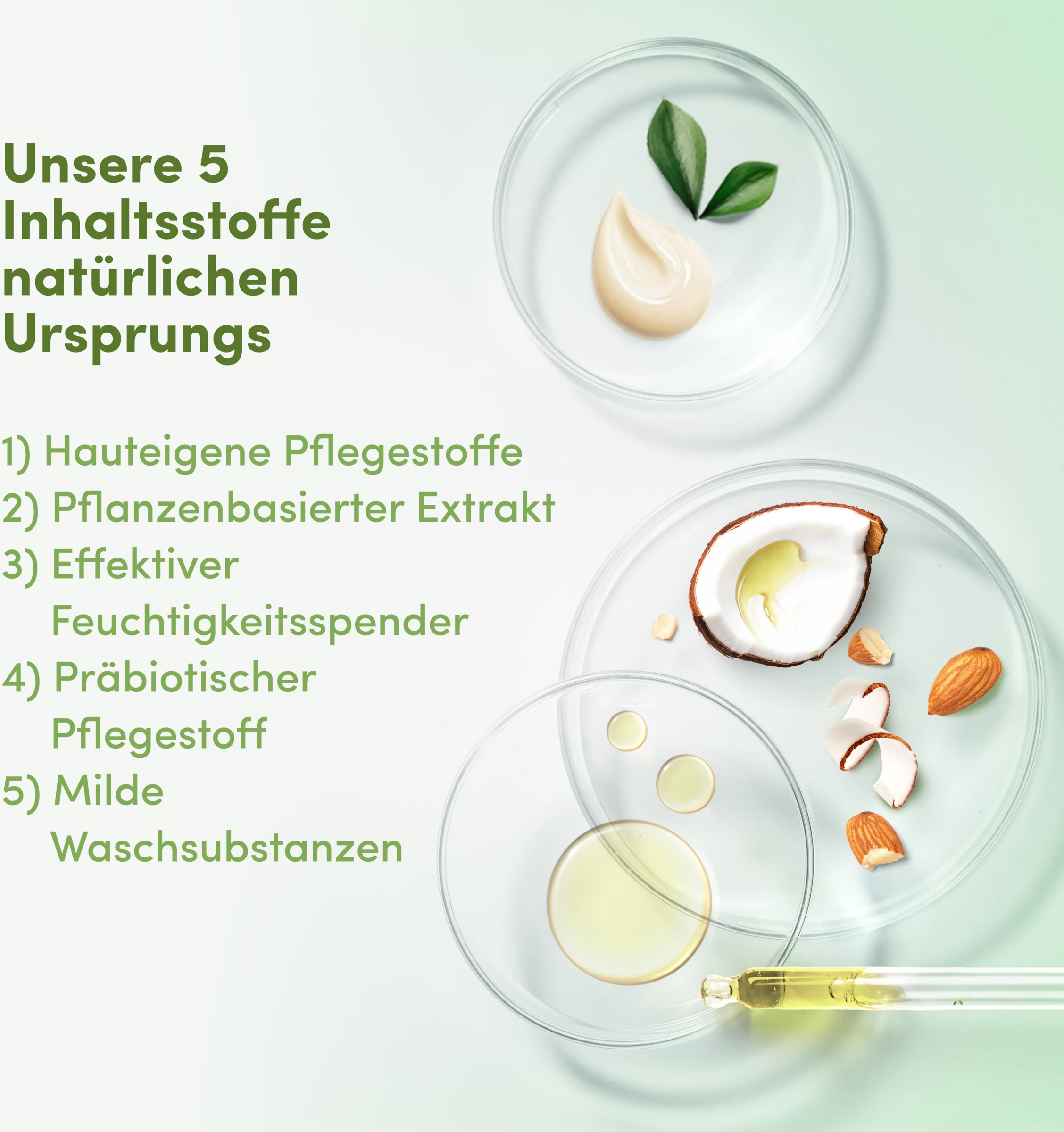 DOVE Care By Nature Pflegedusche Wohltuend Mit Kokosöl & Mandelextrakt 3 DOVE Care By Nature Pflegedusche Wohltuend Mit Kokosöl & Mandelextrakt – Bild 3