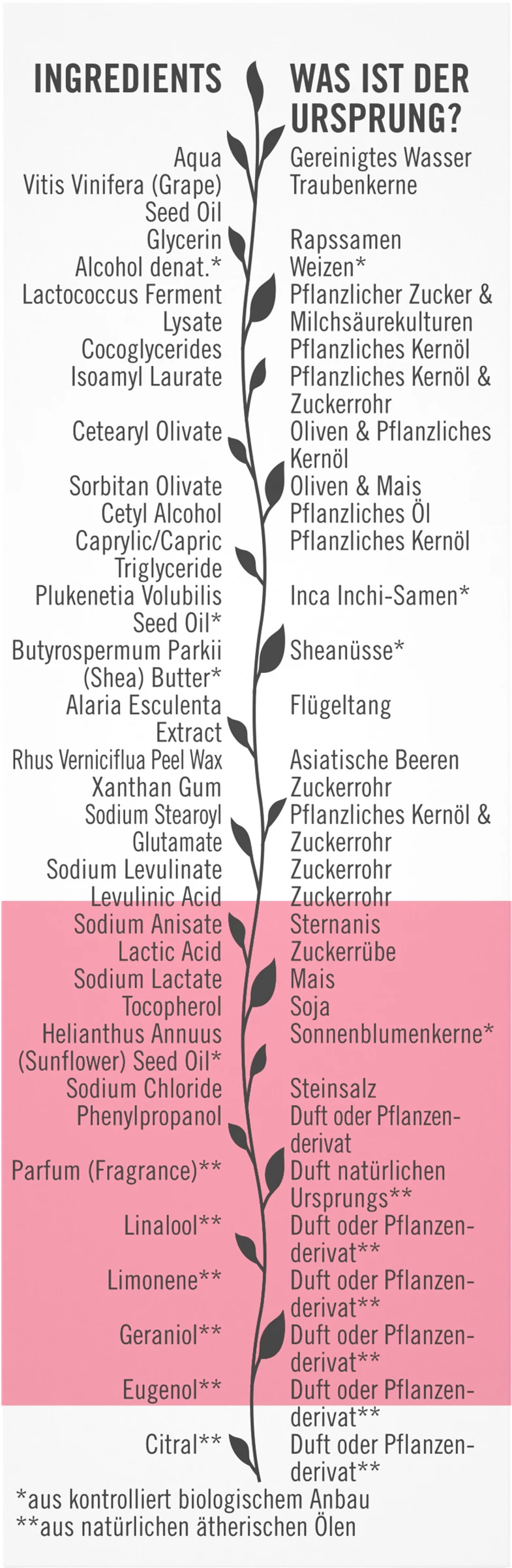 Sante Schützende 24H Feuchtigkeitscreme 3 Sante Schützende 24H Feuchtigkeitscreme – Bild 3